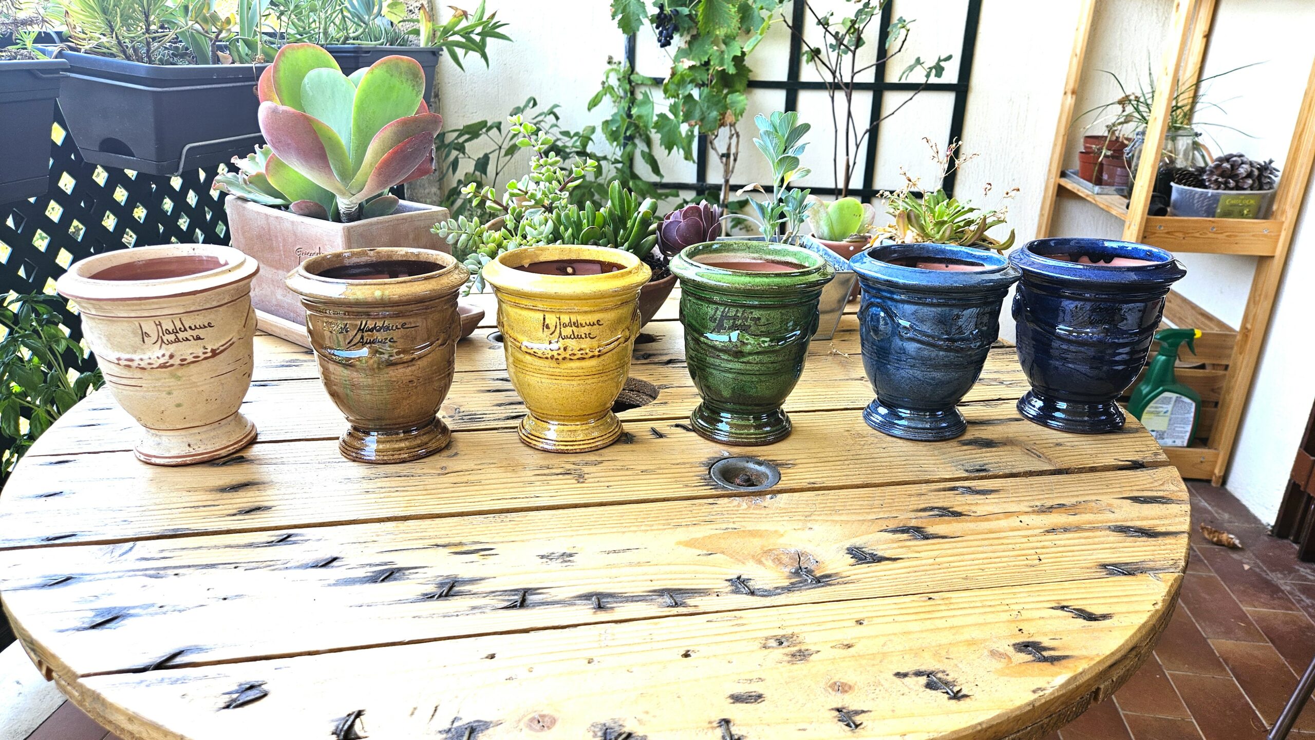 LA BELLEFéE Bougies Citronnelles à la Cire de Soja Naturelle Bougies d'Intérieur et d'Extérieur